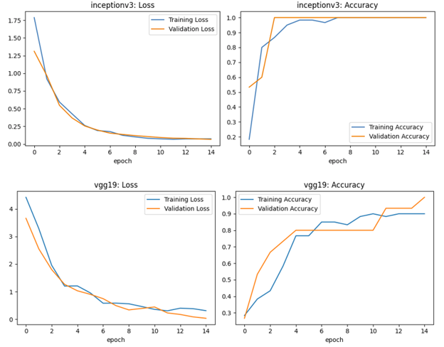 VGG-19 vs InceptionV3